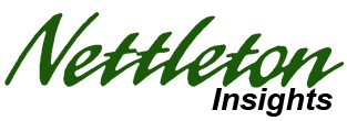 Nettleton Insigihts Logo White copy
