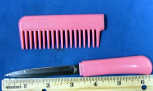 comb knife smaller.jpg