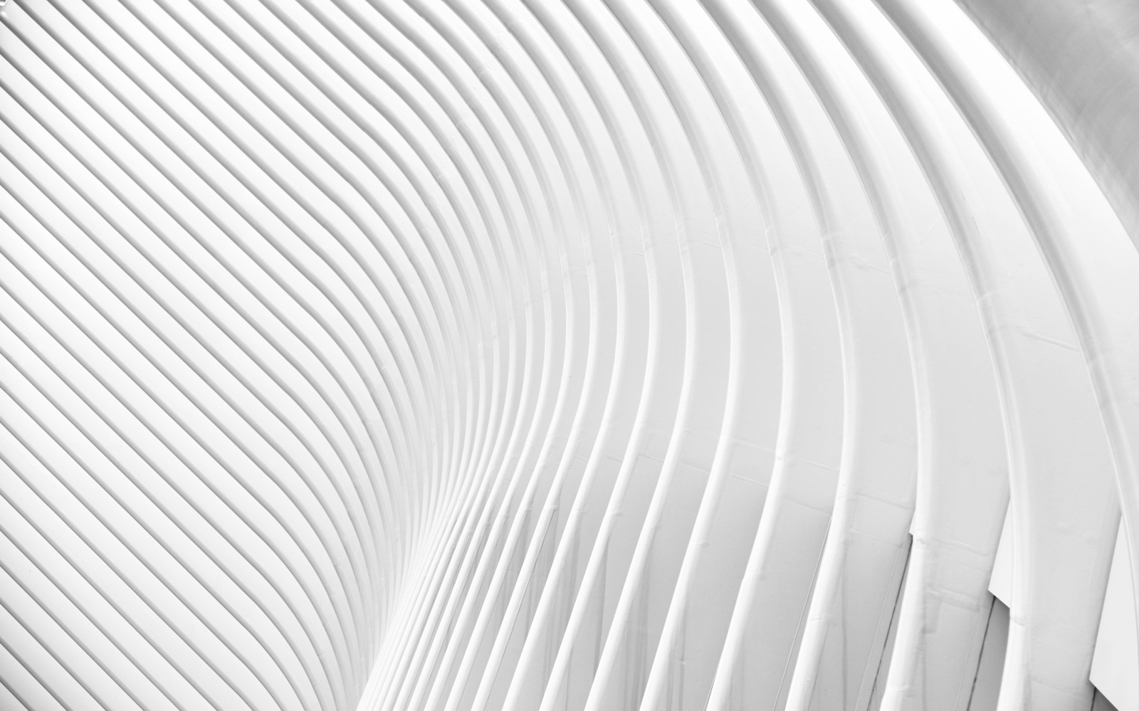 white curved lines.jpg