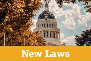 New-Laws-300x201.png