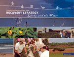 TJRVRT-Strategy-Cover-150-px.jpg
