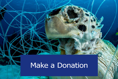 Turtle with Fishing Line Donate Button small font.png