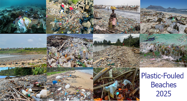 Fouled Beaches Compiled copy.png