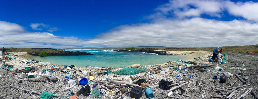 Galapagos Plastic 900 px.png