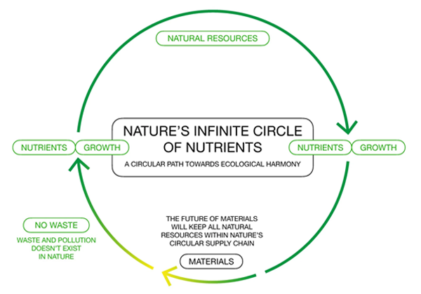 Natures Circle of Nutrients Centered.png