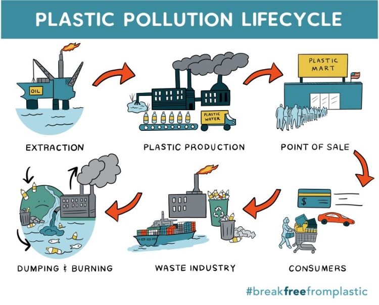 Plastic Pollution Lifecycle.png