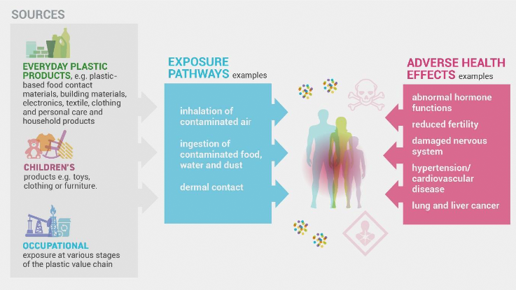 Human Exposure to Chemicals.png