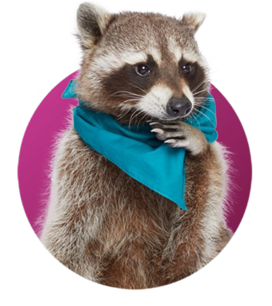 Recycling Raccoon.png