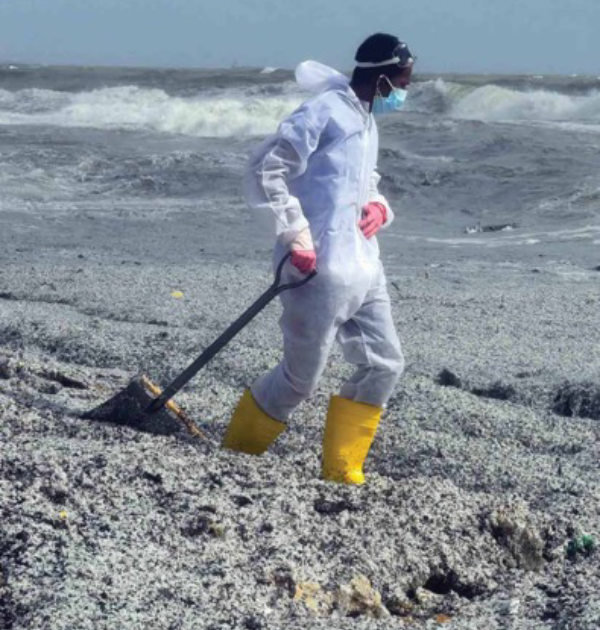 Pellets on beach.png
