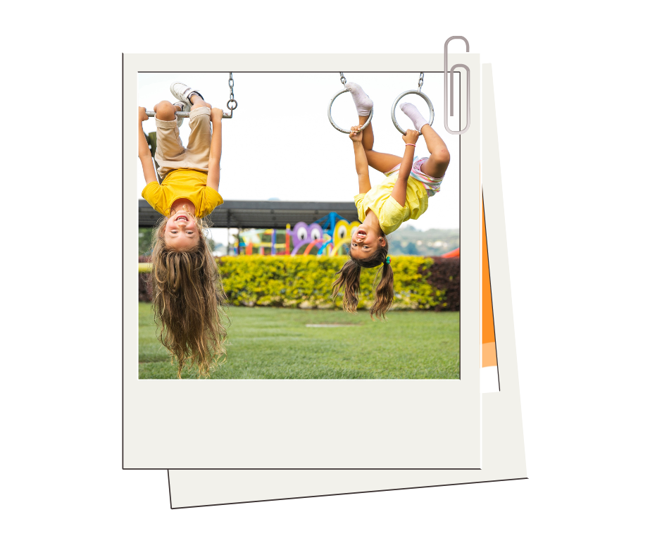 Monkey Bars Image