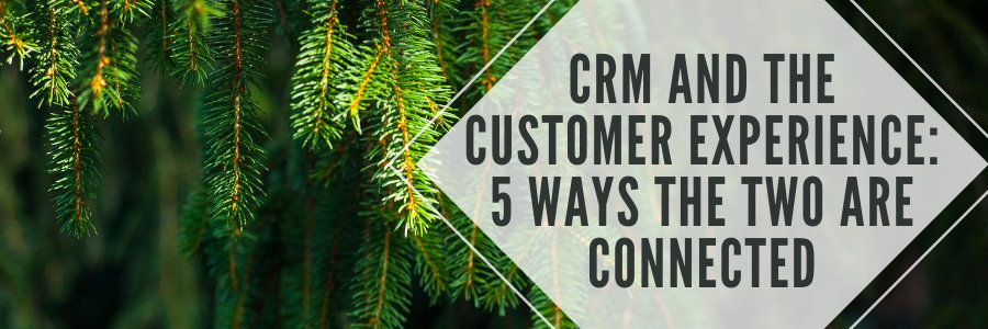 CRM and the Customer Experience 5 Ways the Two are Connected.png