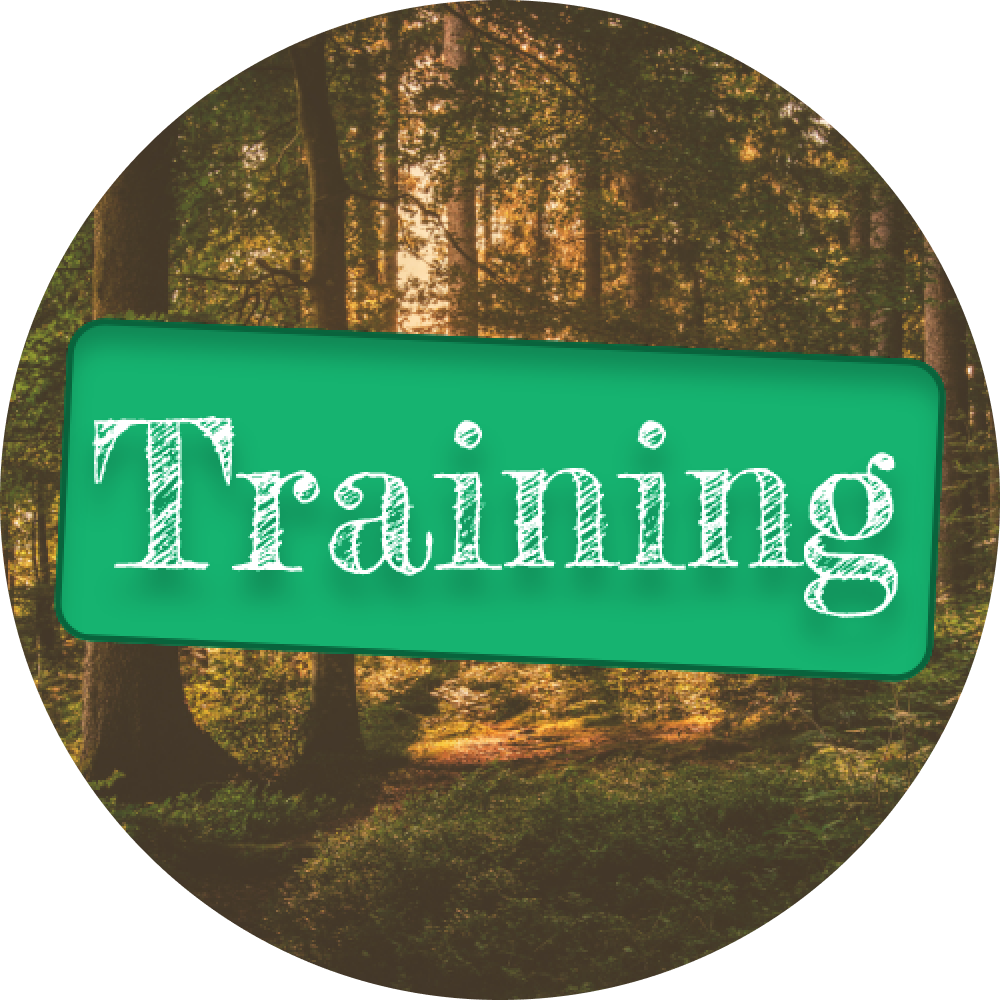 Training (2) 1.png