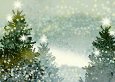 trees_snow.jpeg
