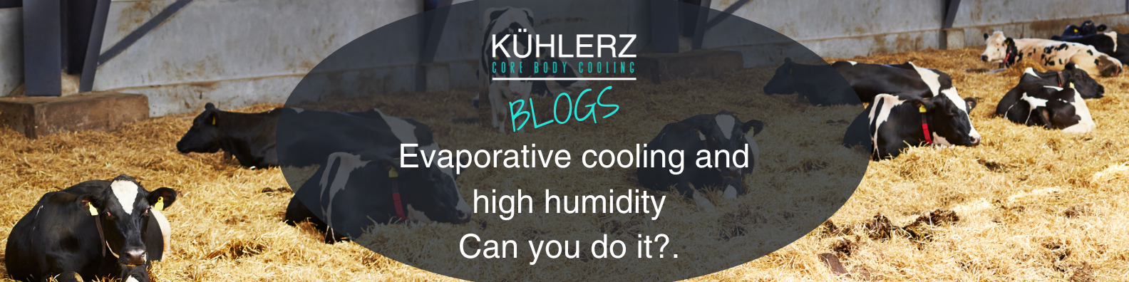 Blog - Humidity .png