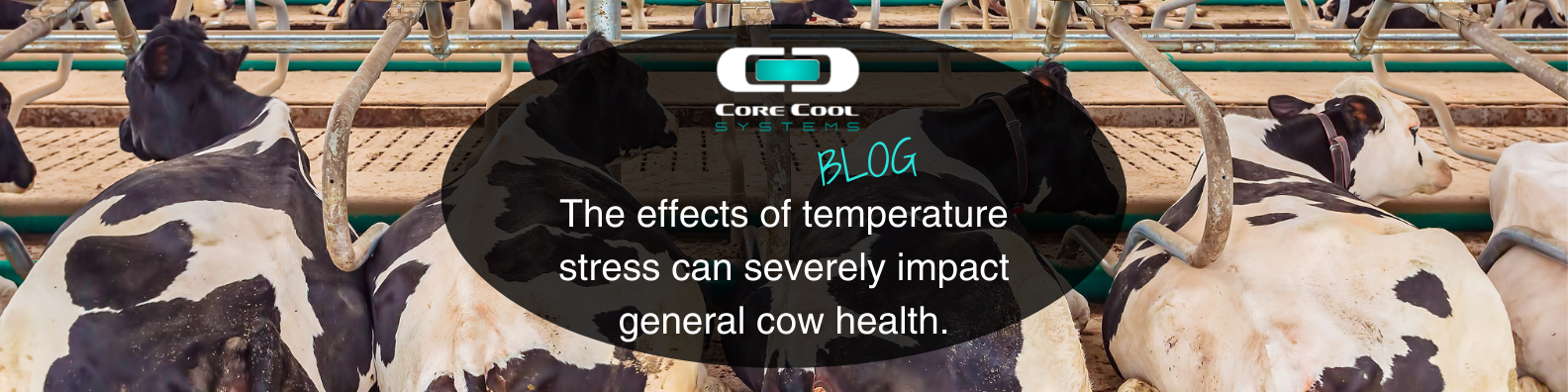 cow health.png