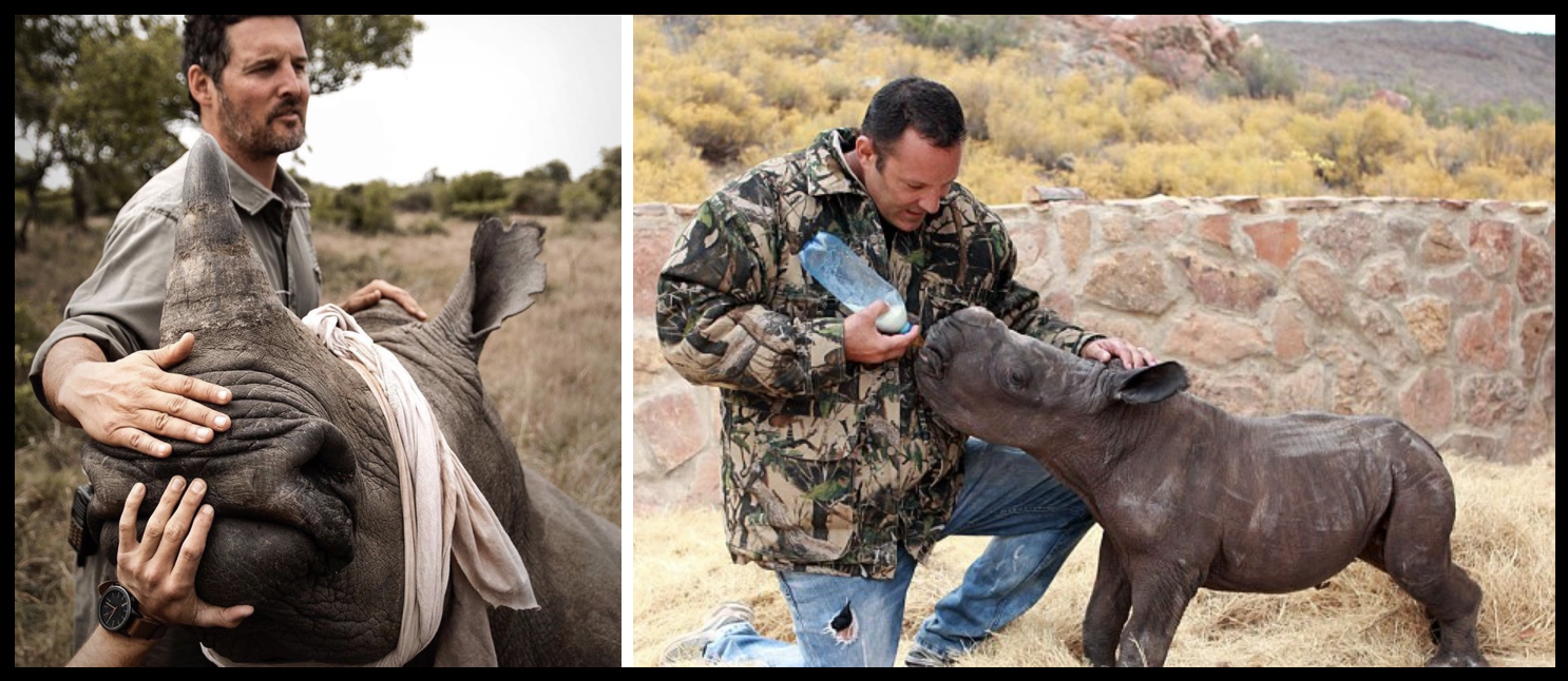 rhino rescue collage 2.png