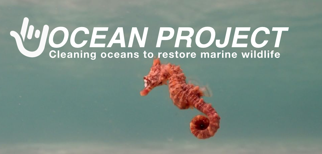 Thumbnail for ocean project