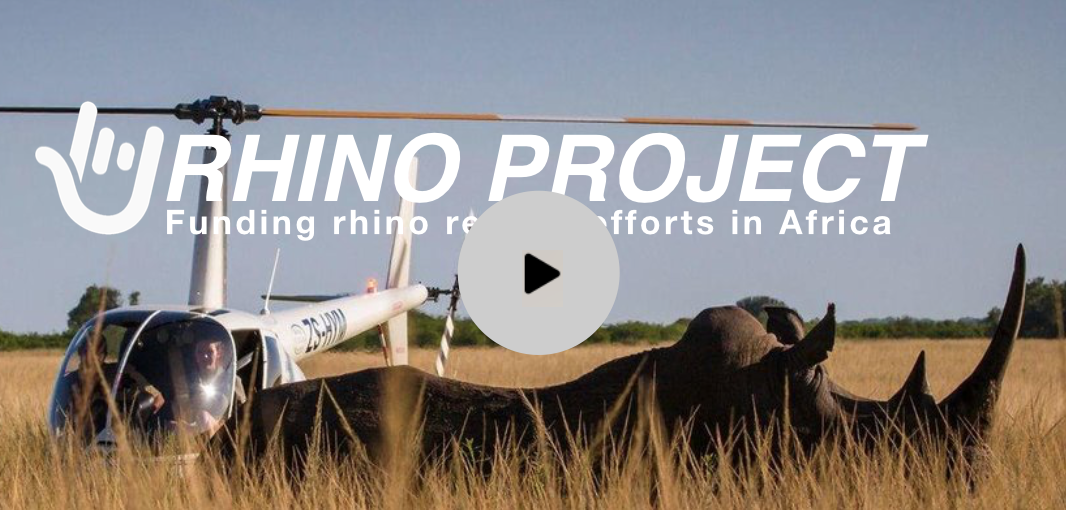 Rhino Project Video