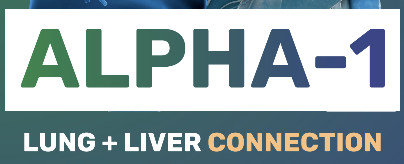 Screenshot 2025-09-04 um 2.31.52 Uhr.png